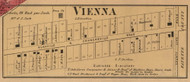 Vienna Village, Union, Indiana 1867 Old Town Map Custom Print  Rush Co.