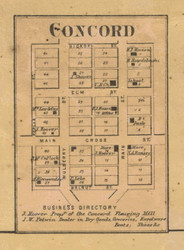 Concord Village, Lauramie, Indiana 1866 Old Town Map Custom Print  Tippecanoe Co.