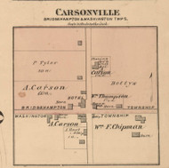 Carsonville Village, Bridgehampton & Washington, Michigan 1876 Old Town Map Custom Print - Sanilac Co.