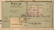 Peck Village, Elk, Michigan 1876 Old Town Map Custom Print - Sanilac Co.