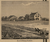 Nelson Residence, Frenchtown, Michigan 1859 Old Town Map Custom Print - Monroe Co.