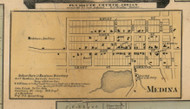 Medina Vlllage, Medina, Michigan 1857 Old Town Map Custom Print - Lenawee Co.