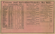 Census and Agricultural Statistics, Lenawee County, Michigan 1857 Old Town Map Custom Print -