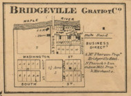 Bridgeville Village, Washington, Michigan 1864 Old Town Map Custom Print - Gratiot Co.
