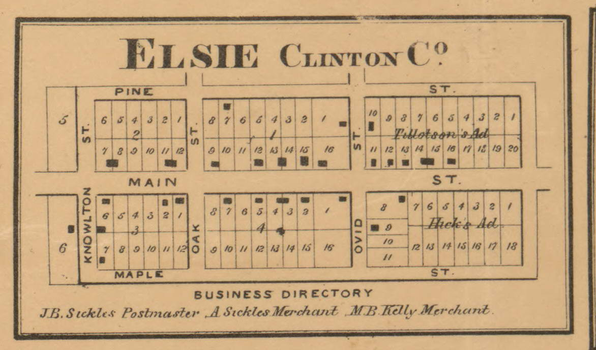 Elsie Village, Duplain, Michigan 1864 Old Town Map Custom Print