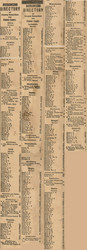 Business Directory, Clinton County, Michigan 1864 Old Town Map Custom Print -