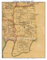 District 1 - Castalian Springs, 1878 Old Town Map Custom Print Sumner Co.