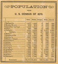 Population Statistics, Sumner County, 1878 Old Town Map Custom Print