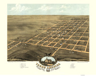 Young America, Illinois 1869 Bird's Eye View