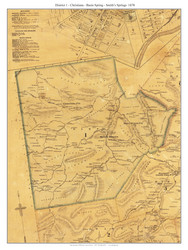 District 1 - Christiana - Basin Spring - Smith's Spring, District 1, Tennessee 1878 Old Town Map Custom Print Williamson Co.