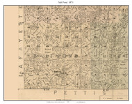 Salt Pond, Missouri 1871 Old Town Map Custom Print Saline Co.