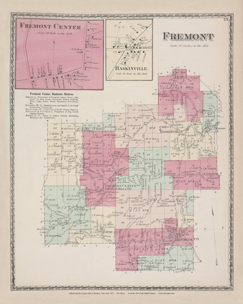 Fremont Fremont Center, New York 1873 - Old Town Map Reprint - Steuben ...