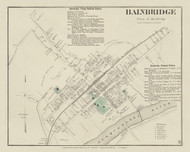 Bainbridge Village, New York 1875 - Old Town Map Reprint - Chenango Co. Atlas 47