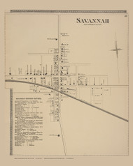 Savannah Village, New York 1874 - Old Town Map Reprint - Wayne Co. Atlas