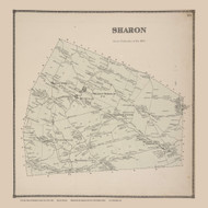 Sharon, New York 1866 - Old Town Map Reprint - Schoharie Co. Atlas