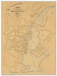 Bridgeport 1850 Sidney & Neff - Old Map Reprint - Connecticut Cities Other