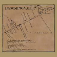 Blooming Valley, Pennsylvania 1865 Old Town Map Custom Print - Crawford Co.