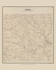Ames, Ohio 1875 Old Town Map Custom Reprint - Athens Co