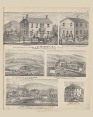Stores and Residences of E. Anthony and B. Cook, Farms & Residences of J.A. Caldwell and W. Beebee and Cornell House, Ohio 1875 Old Town Map Custom Reprint - Athens Co