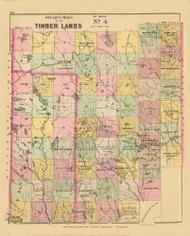 Timber Lands No. 4 - Island Falls 11, Maine 1894 Old Map Reprint - Stuart State Atlas