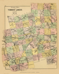 Timber Lands No. 6 - Moosehead Lake - The Forks 13, Maine 1894 Old Map Reprint - Stuart State Atlas