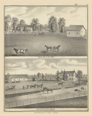 Residences of C.W. Gray and Richard Brock 66, Ohio 1875 Old Town Map Custom Reprint - Fayette County