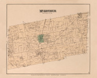 McArthur 39, Ohio 1890 Old Town Map Custom Reprint - LoganCo
