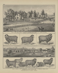 Residences & Farms of W.J. Emmons & John Haley Page 94, Ohio 1879 Old Town Map Custom Reprint - Hardin Co.