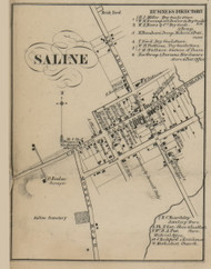 Saline Village, Saline, Michigan 1856 Old Town Map Custom Print - Washtenaw Co.