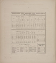 Statistical Tables 8, New York 1866 - Old Town Map Reprint - Tompkins Co. Atlas