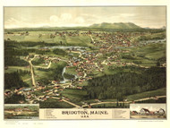 Bridgton LC, Maine 1888 Bird's Eye View