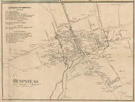 Hempstead Village - Hempstead, New York 1859 Old Town Map Custom Print - Queens Co.