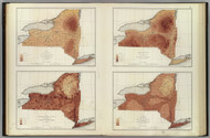 New York State Rainfall, Temperature, Population, Hypsometric Maps New York 1895 - Other Maps Old Map Custom Reprint - Bien State Atlas