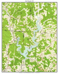 Burr Oak Lake 1961 - Custom USGS Old Topo Map - Ohio
