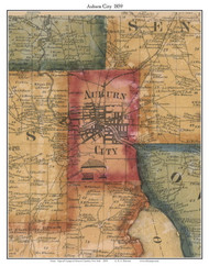 Auburn City, Cayuga Co. New York 1859 Old Town Map Custom Print - Cayuga & Seneca Cos.