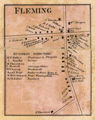 Fleming Village - Fleming, Cayuga Co. New York 1859 Old Town Map Custom Print - Cayuga & Seneca Cos.