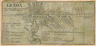 Genoa Village - Genoa, Cayuga Co. New York 1859 Old Town Map Custom Print - Cayuga & Seneca Cos.