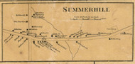 Summer Hill Village - Summerhill, Cayuga Co. New York 1859 Old Town Map Custom Print - Cayuga & Seneca Cos.