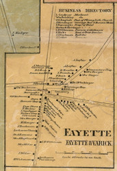 Fayette Village - Fayette, Seneca Co. New York 1859 Old Town Map Custom Print - Cayuga & Seneca Cos.