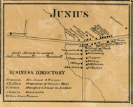Junius Village - Junius, Seneca Co. New York 1859 Old Town Map Custom Print - Cayuga & Seneca Cos.