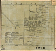 Ovid Village - Ovid, Seneca Co. New York 1859 Old Town Map Custom Print - Cayuga & Seneca Cos.