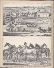 Aurelius - J. Fitch, Esq. Farm & Res. , New York 1875 - Old Town Map Reprint - Cayuga Co. Atlas