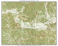 Lake Lemon 1950 - Custom USGS Old Topo Map - Indiana
