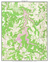 Cedar Lake 1962 - Custom USGS Old Topographic Map - Illinois
