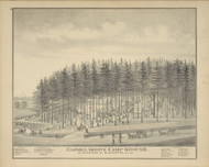 Carmel Grove Camp Ground, New York 1876 - Old Town Map Reprint - Broome Co. Atlas 57