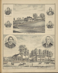Residences of Harry Williams, Peter Davis & David Davis, New York 1876 - Old Town Map Reprint - Broome Co. Atlas 81