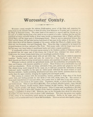 Worcester County Text, Maryland 1866 Old Map Reprint 61