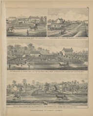 Picture- Fox Farm , Ohio 1877 - Union Co. 35