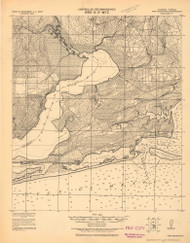 Fort Barrancas, Florida 1921 (1921) USGS Old Topo Map Reprint 15x15 AL Quad 464384