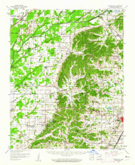 Gainesville, Arkansas 1958 (1962) USGS Old Topo Map Reprint 15x15 AR Quad 258532